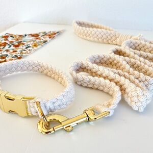 The Everyday Collar Set - Relaxed Style- Cream - Collar+Leash-